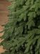 Ялинка лита "Лапландська" Зелена 2,30м 28 фото 12